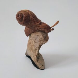 Caracol encina
