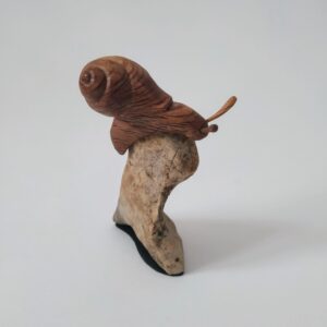 Caracol fresno