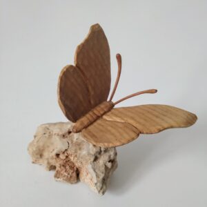 Mariposa fresno