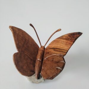 Mariposa olivo base roca 2