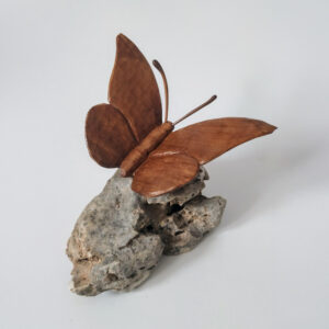 Mariposa olivo base roca 1