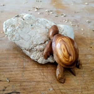Tortuga de olivo