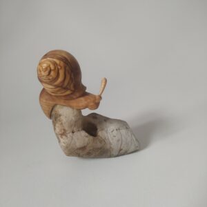 Caracol en madera de olivo