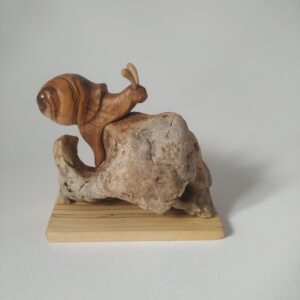 Caracol de olivo